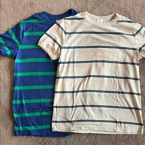 Hanna Andersson Blue and Green Striped Tees
